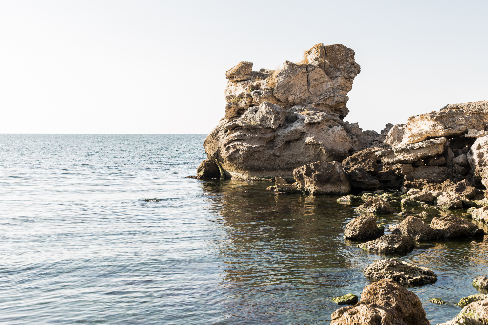 Exploring Schoenmakerskop Rocky Shores